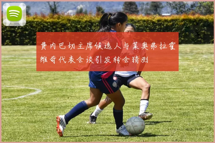 费内巴切主席候选人与莱奥弗拉霍维奇代表会谈引发转会猜测